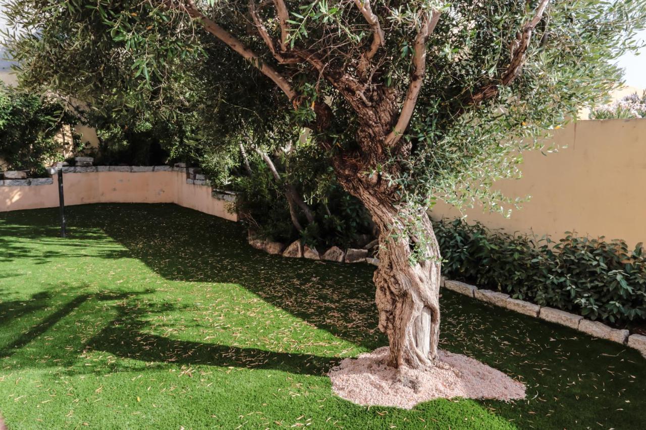 אולביה Rental Villa Bb מראה חיצוני תמונה